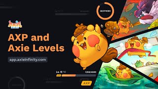 Axie Experience Points AXP and Levels Overview [upl. by Garwin]