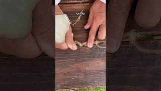 How did the Victorians waterproof wooden ships chalkehistoryfestival [upl. by Harvie]