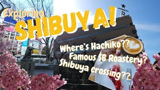 2024 Tokyo Japan Vlog  Shibuya Hachiko Yoshinoya SB Roastery [upl. by Titania]