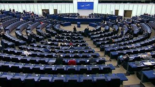 Council of Europe assembly recognises deportation of Ukrainian children to Russia as genocide [upl. by Anatlus721]