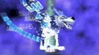 Garurumon Digivolve to Weregarurumon HQ ENGLISH [upl. by Enawtna569]