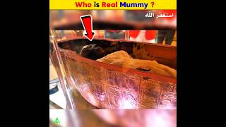 Who is Pharaoh Real Mummy  Arslan Speaks shortsfeed amazingfacts pharoah real mummy [upl. by Boys]