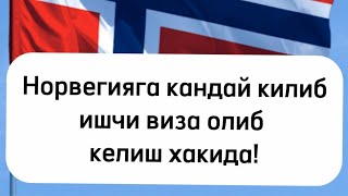 Норвегияга ишга бориш Норвегияга кандай килиб ишчи виза олиб келиш хакида [upl. by Serilda]