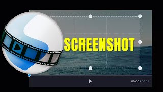 How to Take a Screenshot in Openshot ✅ [upl. by Dadelos]