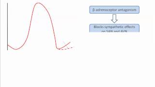 Class II antiarrhythmics [upl. by Shawna8]