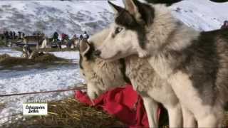 La vallée de la Maurienne  Echappées belles [upl. by Elenahc]