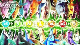 ALL SHARK INFO ROBO SHARK HUNGRY SHARK WORLD [upl. by Kamerman]