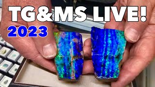 LIVE Tucson Gem amp Mineral Show 2023 Main Event [upl. by Eornom476]