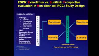 The Role of Tyrosine Kinase Inhibitors and mTOR Inhibitors [upl. by Aguste]