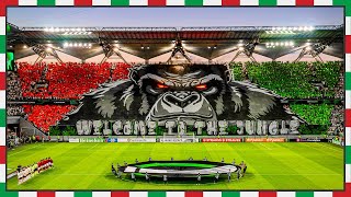 LEGIA WELCOME TO THE JUNGLE [upl. by Shaffer]