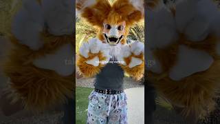 Suiter  fursuits Edit 💖 capcut trending fursuit [upl. by Canice]