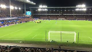 Andre Gomes Stretchered Off With Broken Leg  Everton 11 Tottenham Hotspur [upl. by Ahsinan]