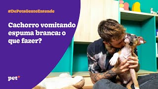 Cachorro vomitando espuma branca o que fazer  De pet a gente entende [upl. by Kendra154]