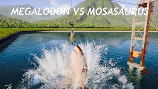 Megalodon Vs Mosasaurus and MORE [upl. by Lenhard]