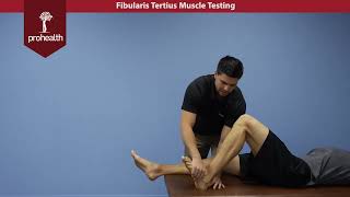 Fibularis Tertius Muscle Test Palp Dr Vizniak Muscle Manual [upl. by Arrak]