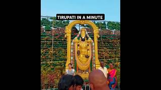 Tirupati in a minute tirumala tirupatibalaji [upl. by Gervais]