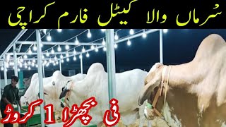 Surmawala Cattle Farm Karachi [upl. by Tamas]