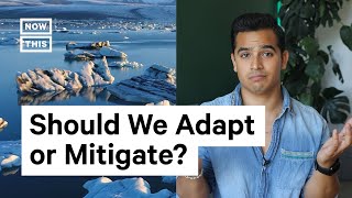 Adaptation vs Mitigation Climate Change Solutions [upl. by Ltihcox697]