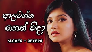 ආලවන්ත නෙත් විදා  Alawantha Neth Vida  Slowed  Reverb Version  HMS Creations [upl. by Odrick304]