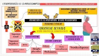 Fisiopatología de la Preeclampsia actualizado [upl. by Gran614]