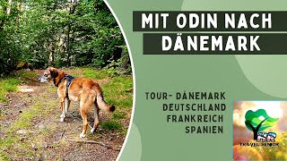 Mit Odin nach Dänemark  Ein Tag mit Travel Senior [upl. by Labana]