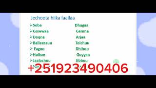 Qubee dubbifamaa Afaan Oromoo Jechoota sagalee gabaabaa Fi Jechoota hiika faallaa [upl. by Ozzy]