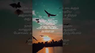 Idhuvum Kadandhu Pogum Song Lyrics  Magical Frames  WhatsApp Status Tamil  Tamil Lyrics Song [upl. by Donavon276]