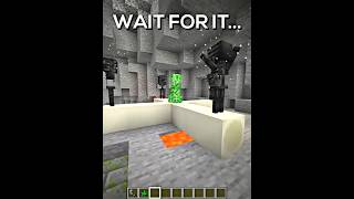 Proboiz WITHER CREEPER Explosion in Minecraft [upl. by Gillman]