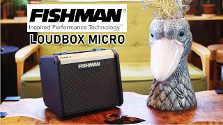 FISHMAN LOUDBOX MICRO【ギター？ウクレレ？何でも来いの小型アンプ！】 [upl. by Nebe]