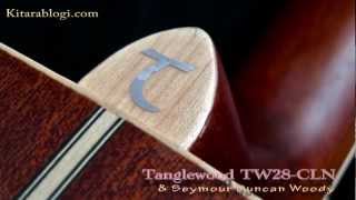 Tanglewood TW28CLN  Seymour Duncan Woody [upl. by Omrellig]