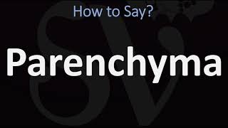 How to Pronounce Parenchyma CORRECTLY [upl. by Letti]