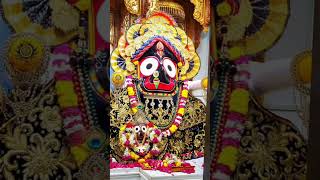 jagannath shortsjayjagannath jay 🙏💙😋🤎🪭❤️💛💛hindudeityhindugoddessjay jagannath bhakri [upl. by Riancho]