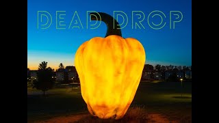 Carol Reed Mysteries  Dead Drop Stream [upl. by Atirhs]