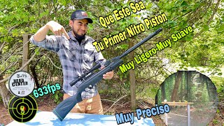 Gamo Swarm Whisper 22 Que Sea Tu Primer Nitro Pistón [upl. by Larkin]