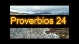 Versiculos de la biblia PROVERBIOS 24 [upl. by Syl573]