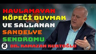 HAVLAMAYAN KÖPEĞİ DUYMAK VE SALLANAN SANDALYE SENDROMU [upl. by Corydon]