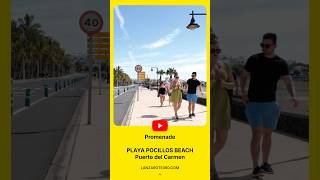 🏖️ LANZAROTE 2024 Promenade Around Pocillos Beach in Puerto del Carmen Lanzarote WalkingTour [upl. by Ojimmas741]