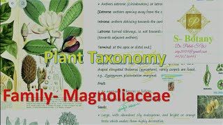 Family Magnoliaceae [upl. by Valerian777]