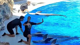 Teneriffa Oktober 2024 Loro Parque Birgit und Rainer Walter aus Mönchengladbach [upl. by Lemuela587]