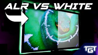 ALR vs White Projector Screen Comparison  Which Is Best For You [upl. by Suinotna]