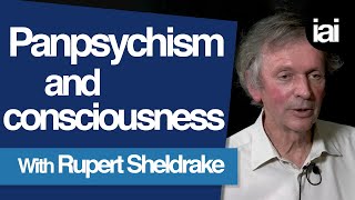 How Panpsychism Can Explain Consciousness  Rupert Sheldrake [upl. by Parhe798]