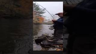 New landlocked salmon video up go find out how big this one wasfishing salmonfish flyfishing [upl. by Prima]