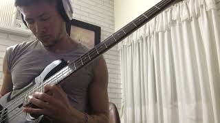 Desvairada  Bass Cover [upl. by Guthrie]