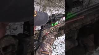 TOP 5 Best Crossbow 2022  To Hit Targets Precisely shorts [upl. by Hashum]