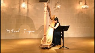 Ravel  Tzigane  Harp Solo Part [upl. by Eseilana]