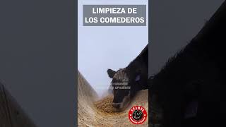 Limpiar los comederos de nuestro ganado es obligatorio corral comedero ganado rancho pecuaria [upl. by Cavil]