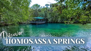 Meet Unique Wildlife at Homosassa Springs Wildlife Park [upl. by Sapowith]