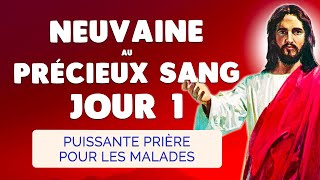 🙏 NEUVAINE au PRÉCIEUX SANG Jour 1 🩸 Puissante Prière pour les Malades [upl. by Carboni]