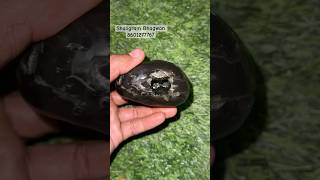 Shaligram Bhagwan  Nepal Gandki Nadishorts viralvideo [upl. by Bone]