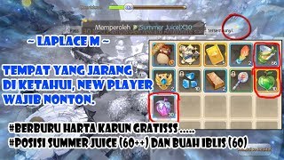 Laplace M Posisi Harta Karun Summer Juice 65 amp Buah Iblis 60 [upl. by Lenor527]